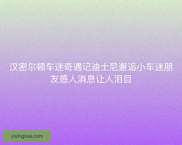汉密尔顿车迷奇遇记迪士尼邂逅小车迷朋友感人消息让人泪目