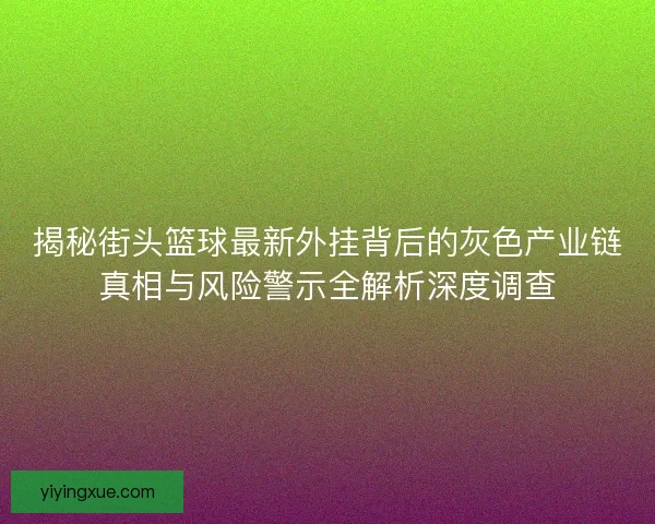 揭秘街头篮球最新外挂背后的灰色产业链真相与风险警示全解析深度调查